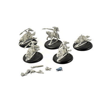 HORDES Circle Orboros 5 Tharn Wolf Riders #1 METAL