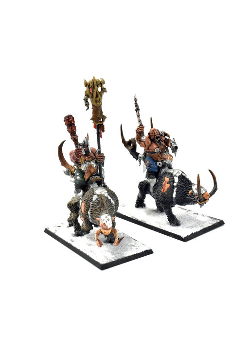 OGOR MAWTRIBES Mournfang Pack #6 WELL PAINTED Warhammer Sigmar