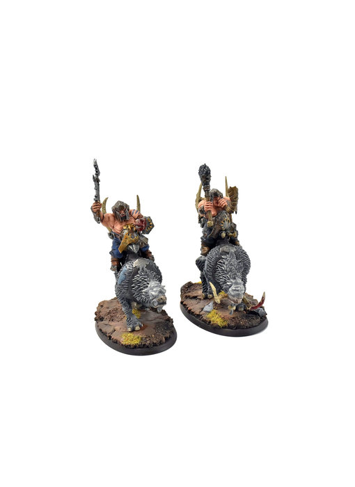 OGOR MAWTRIBES Mournfang Pack #4 PRO PAINTED Warhammer Sigmar