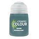 Poxwalker (Shade 18ml)