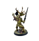 Games Workshop MAGGOTKIN OF NURGLE Poxbringer, Herald of Nurgle #2 Sigmar