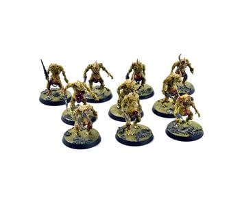 MAGGOTKIN OF NURGLE 10 Plaguebearers #4 Sigmar WELL PAINTED