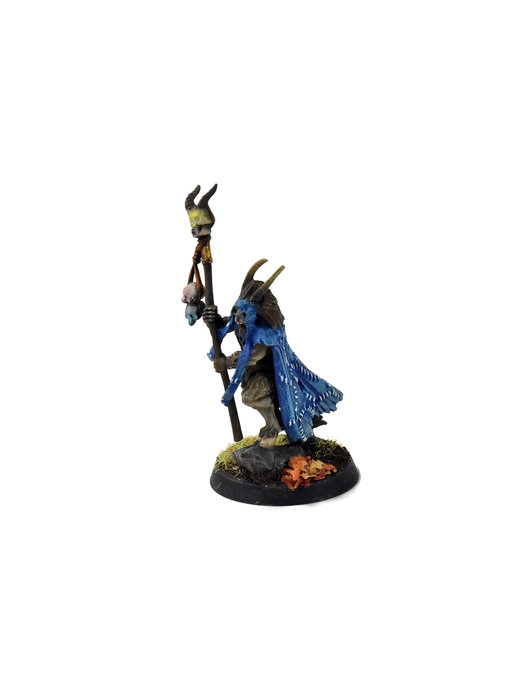BEASTS OF CHAOS Great-Bray Shaman WELL PAINTED #1
