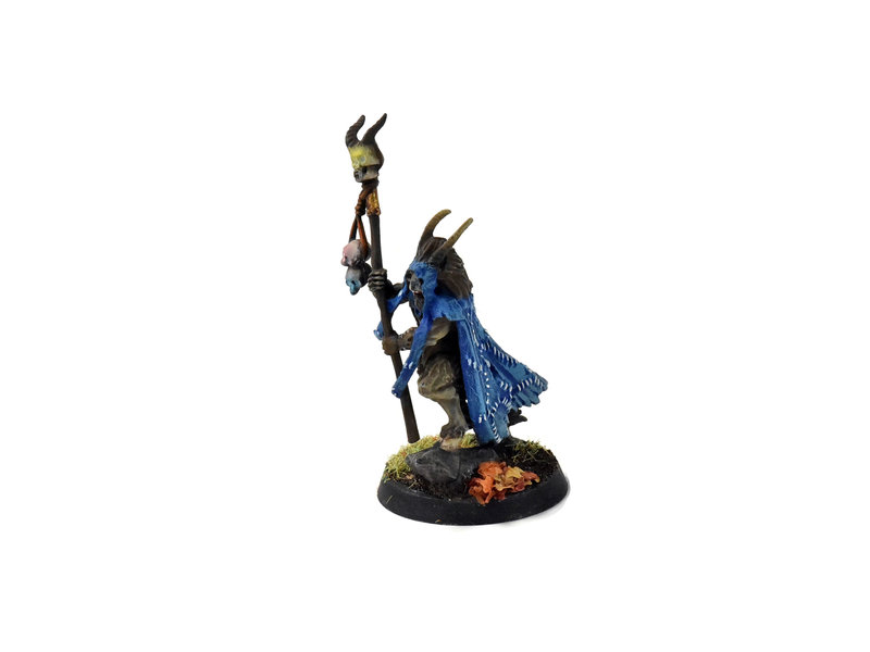 Games Workshop BEASTS OF CHAOS Great-Bray Shaman WELL PAINTED #1