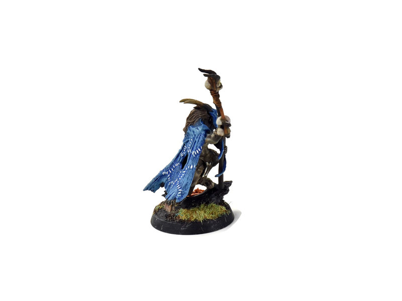 Games Workshop BEASTS OF CHAOS Great-Bray Shaman WELL PAINTED #1