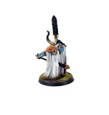 Games Workshop DISCIPLES OF TZEENTCH Chaos Lord WELL PAINTED Sigmar #1