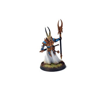 DISCIPLES OF TZEENTCH Chaos Sorcerer Lord WELL PAINTED Sigmar #1