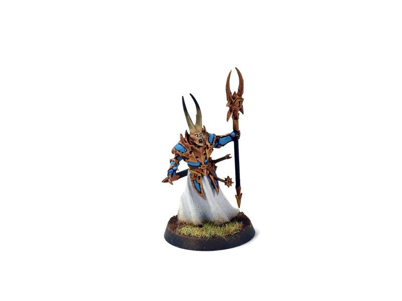 Games Workshop DISCIPLES OF TZEENTCH Chaos Sorcerer Lord WELL PAINTED Sigmar #1