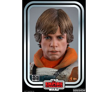 Luke Skywalker™ (Snowspeeder Pilot) Sixth Scale Figure by Hot Toys