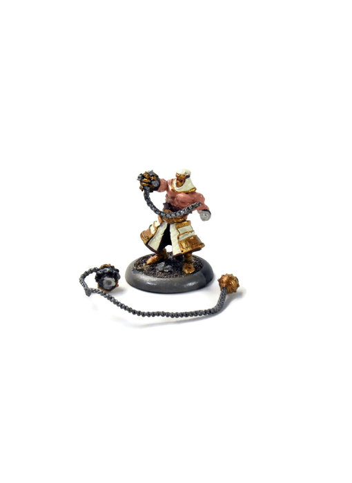WARMACHINE High Allegiant Amon Ad-Raza METAL #1 Protectorate of Menoth