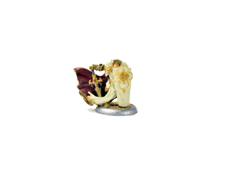 WARMACHINE Paladin of The Order of The Wall METAL #2 Protectorate of Menoth
