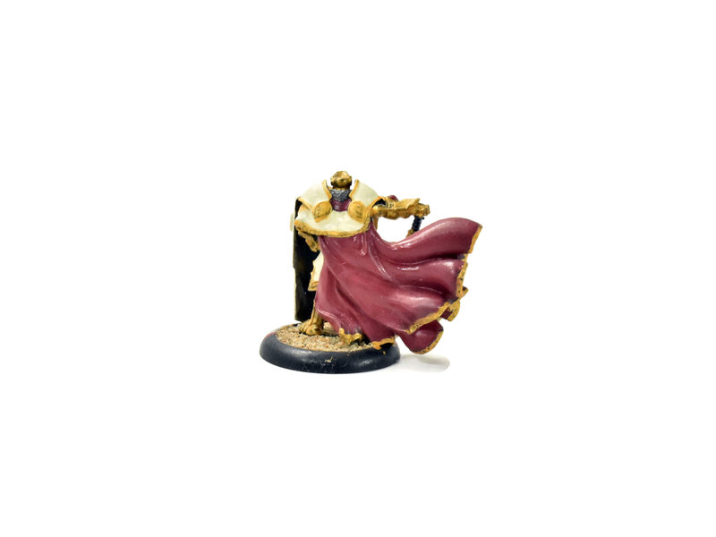 WARMACHINE Paladin of The Order of The Wall METAL #2 Protectorate of Menoth