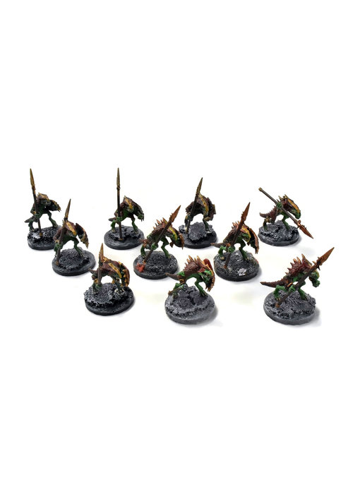 SERAPHON 10 Saurus Warriors #3 WELL PAINTED Sigmar