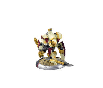 WARMACHINE Devout METAL #1 Protectorate of Menoth