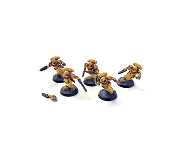 SPACE MARINES 5 Assault Intercessors #2  WELL PAINTED IMPERIAL FISTS