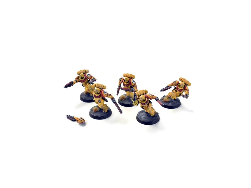 Games Workshop SPACE MARINES 5 Assault Intercessors #2  WELL PAINTED IMPERIAL FISTS