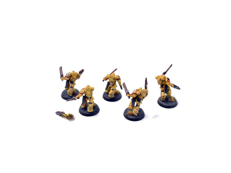 Games Workshop SPACE MARINES 5 Assault Intercessors #2  WELL PAINTED IMPERIAL FISTS