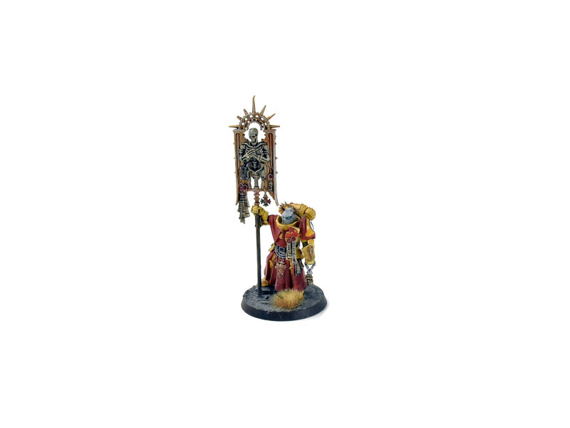 Games Workshop SPACE MARINES Bladeguard Ancient #1  WELL PAINTED 40K IMPERIAL FISTS