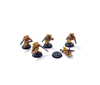 SPACE MARINES 5 Assault Intercessors #1  WELL PAINTED 40K IMPERIAL FISTS