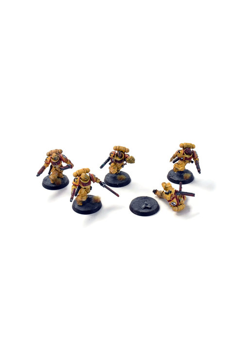 SPACE MARINES 5 Assault Intercessors #1  WELL PAINTED 40K IMPERIAL FISTS