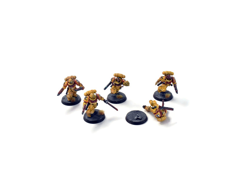 Games Workshop SPACE MARINES 5 Assault Intercessors #1  WELL PAINTED 40K IMPERIAL FISTS