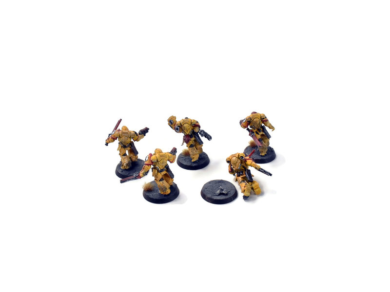 Games Workshop SPACE MARINES 5 Assault Intercessors #1  WELL PAINTED 40K IMPERIAL FISTS