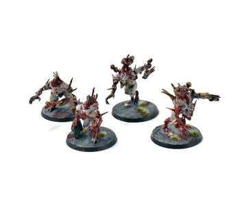 FLESH-EATER COUTS 4 Crypt Horrors #1 Sigmar WELL PAINTED