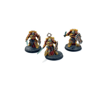 SPACE MARINES 3 Blade guard Veterans #1 WELL PAINTED 40K