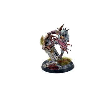 FLESH-EATER COUTS Abhorrant Archregent #1 Sigmar WELL PAINTED