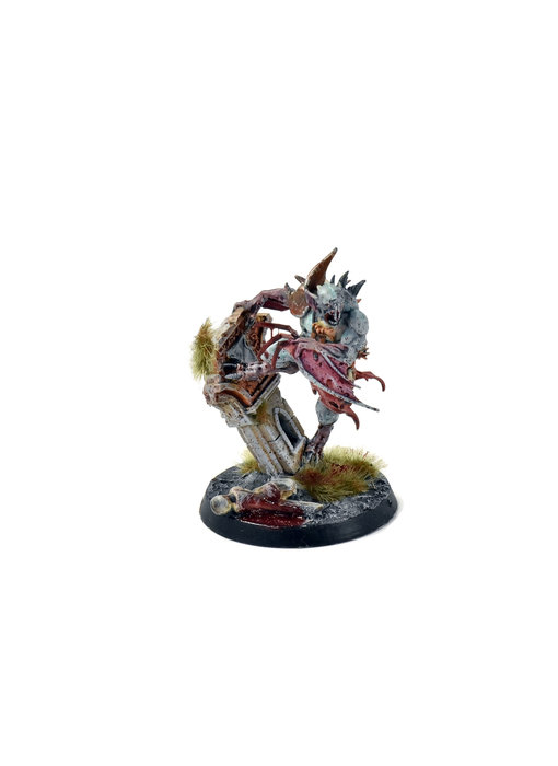 FLESH-EATER COUTS Abhorrant Archregent #1 Sigmar WELL PAINTED