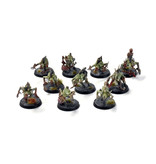 Games Workshop FLESH-EATER COUTS 10 Crypt Ghouls #1 Sigmar WELL PAINTED