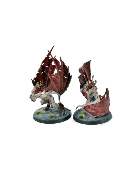 FLESH-EATER COUTS 2 Crypt Flayers #2 Sigmar WELL PAINTED