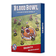 Blood Bowl - Elven Union Pitch & Dugouts