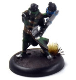 WARMACHINE Retribution of Scyrah Sylys Wyshnalyrr, the Seeker #1 METAL