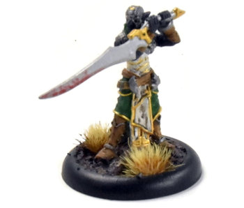 WARMACHINE Retribution of Scyrah Nayl #1 METAL
