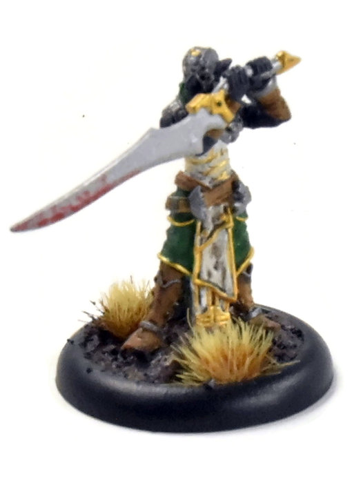 WARMACHINE Retribution of Scyrah Nayl #1 METAL