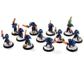 WARMACHINE Retribution of Scyrah 12 Dawnguard Sentinels #1