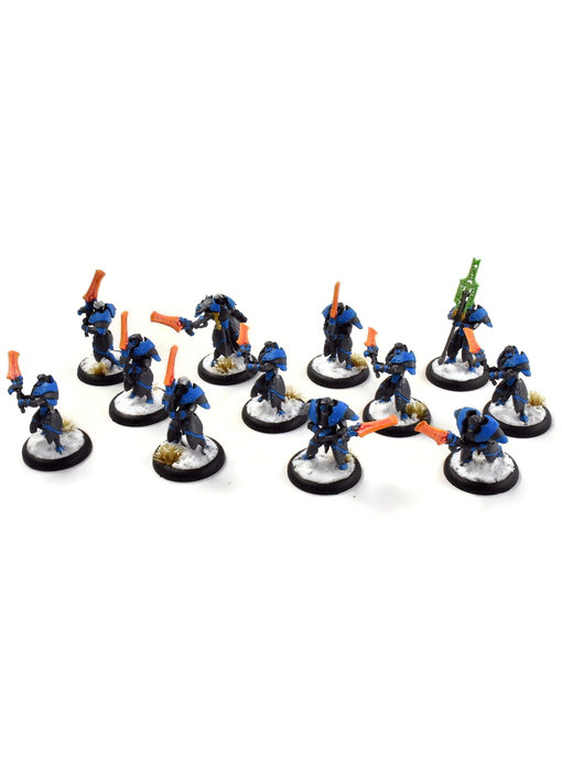 WARMACHINE Retribution of Scyrah 12 Dawnguard Sentinels #1