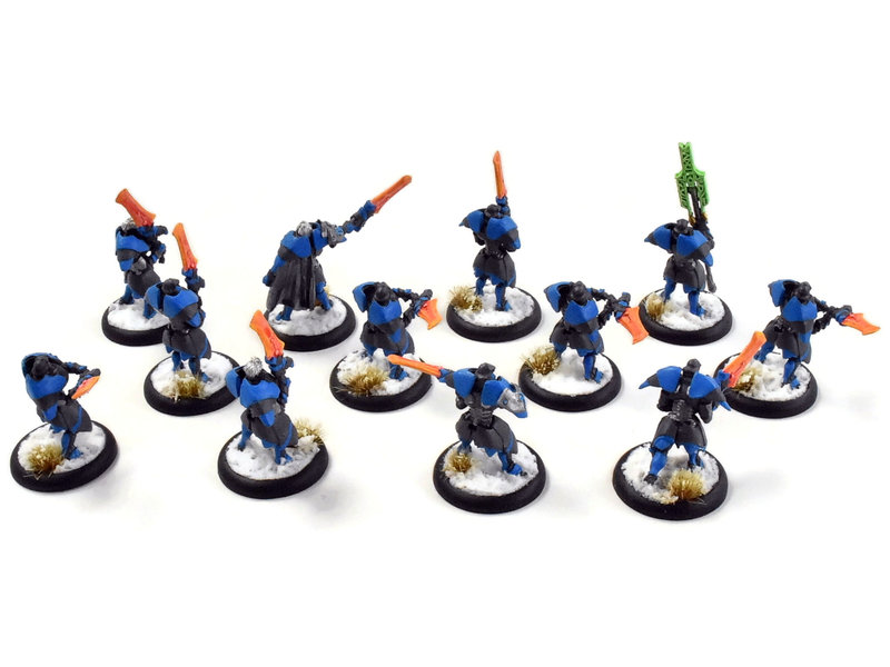 WARMACHINE Retribution of Scyrah 12 Dawnguard Sentinels #1