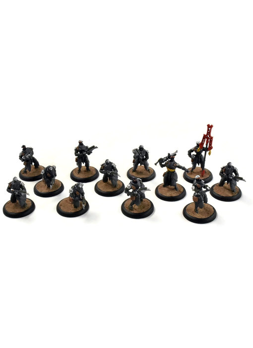 WARMACHINE Retribution of Scyrah 12 Dawnguard Invictors #1