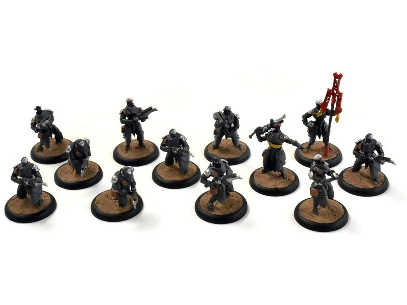 WARMACHINE Retribution of Scyrah 12 Dawnguard Invictors #1