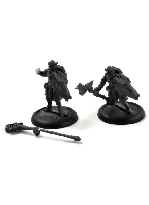 WARMACHINE Retribution of Scyrah Houseguard Halberdier & Officer w/ Standard