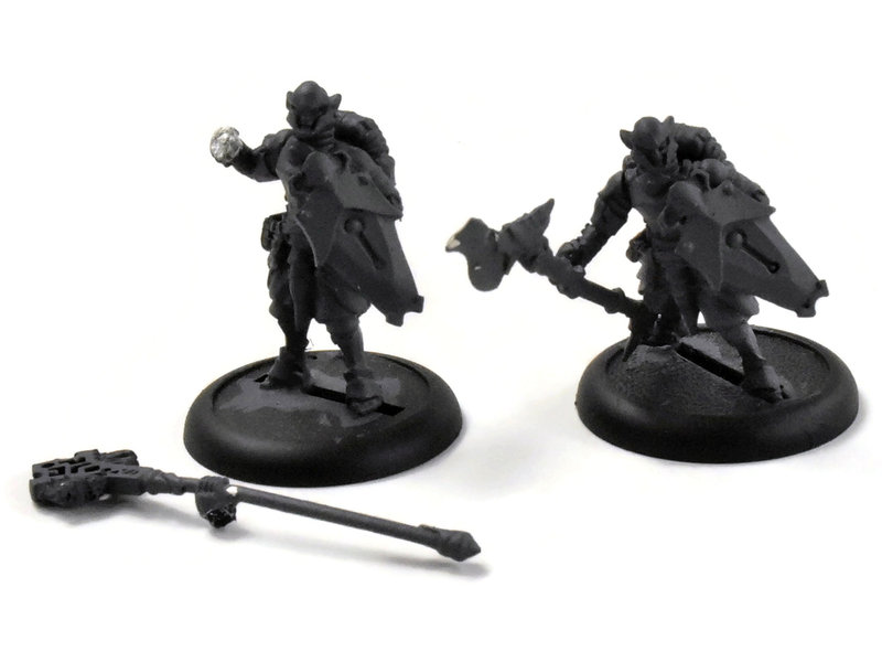 WARMACHINE Retribution of Scyrah Houseguard Halberdier & Officer w/ Standard