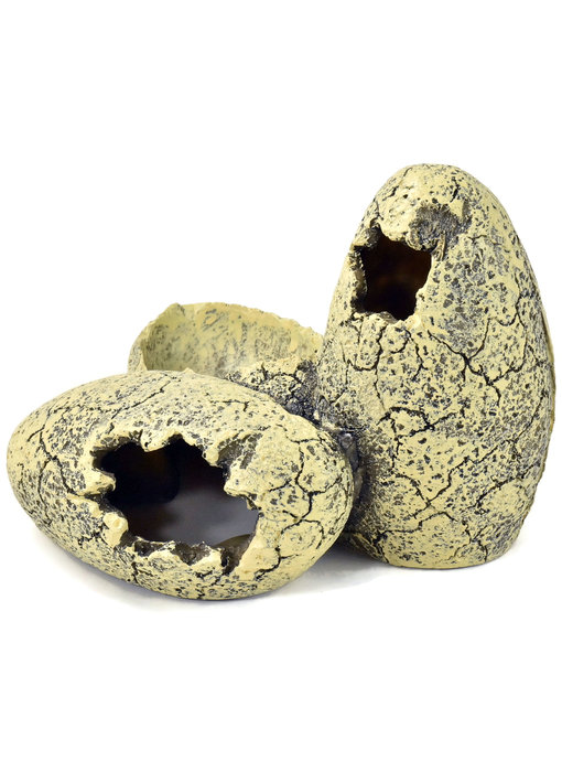 DUNGEONS & DRAGONS Eggs Scenery #1 Resin