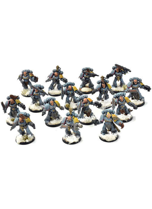 SPACE WOLVES 15 Blood Claws #1 WELL PAINTED Warhammer 40K