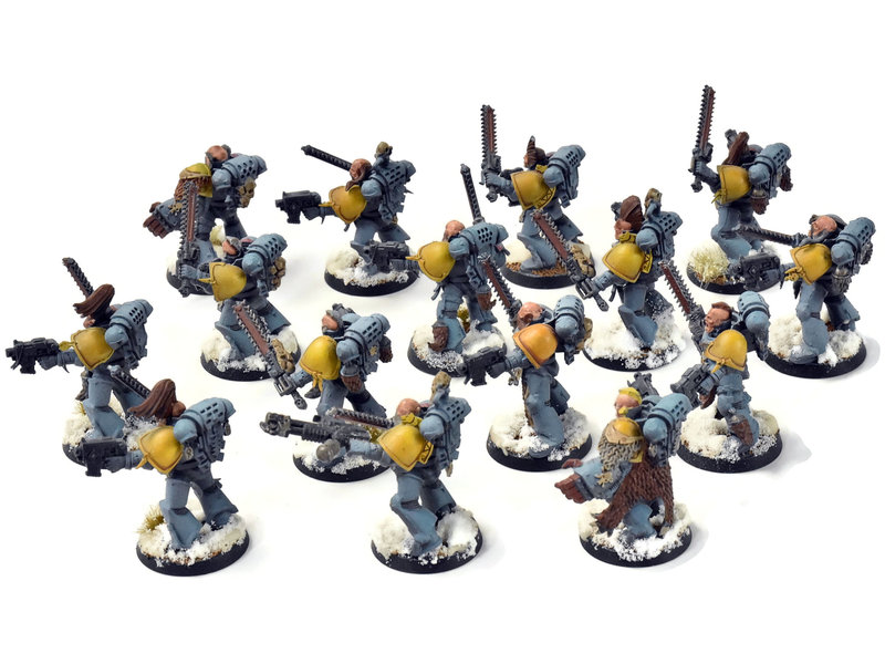 Games Workshop SPACE WOLVES 15 Blood Claws #1 WELL PAINTED Warhammer 40K