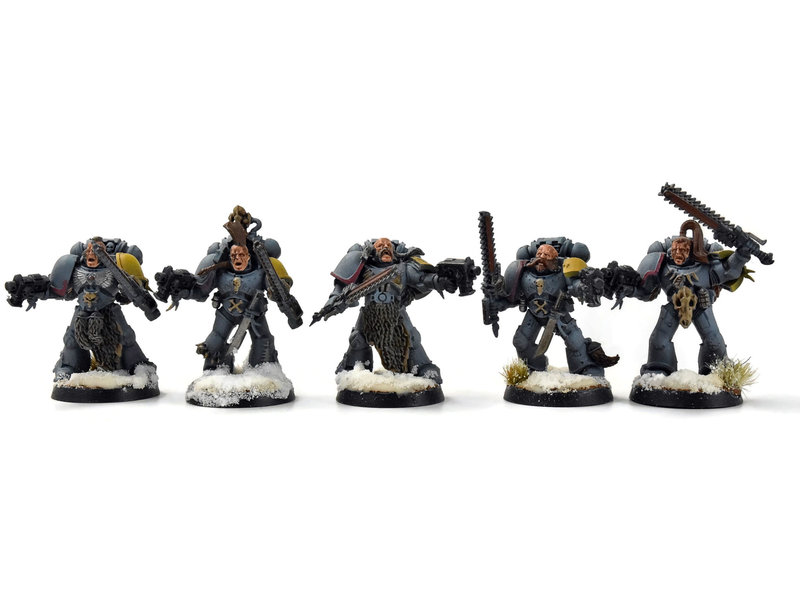 Games Workshop SPACE WOLVES 15 Blood Claws #1 WELL PAINTED Warhammer 40K