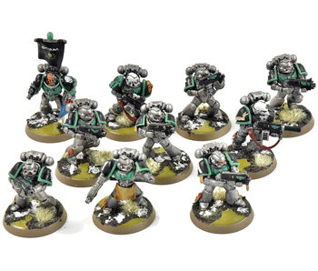 SPACE MARINES 10 Tactical Marines #1 WELL PAINTED Warhammer 40K