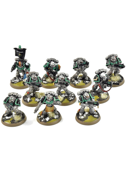 SPACE MARINES 10 Tactical Marines #1 WELL PAINTED Warhammer 40K