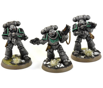 SPACE MARINES 3 Primaris Intercessors #1 WELL PAINTED Warhammer 40K